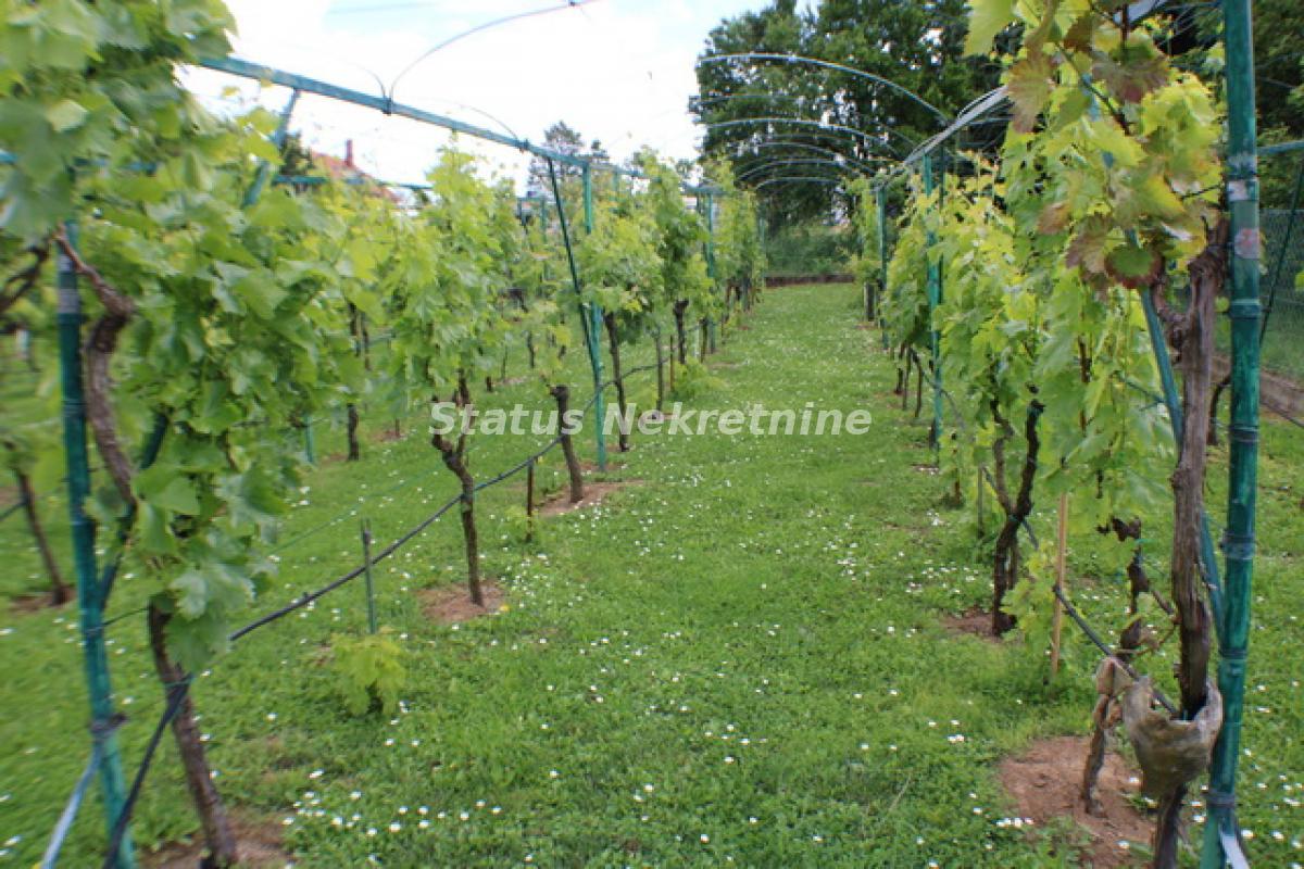 actionimagesite31agencystatusimg0gtputinxz-img-5135-resize Kuća na prodaju, Čerević, Beočin, 160m²