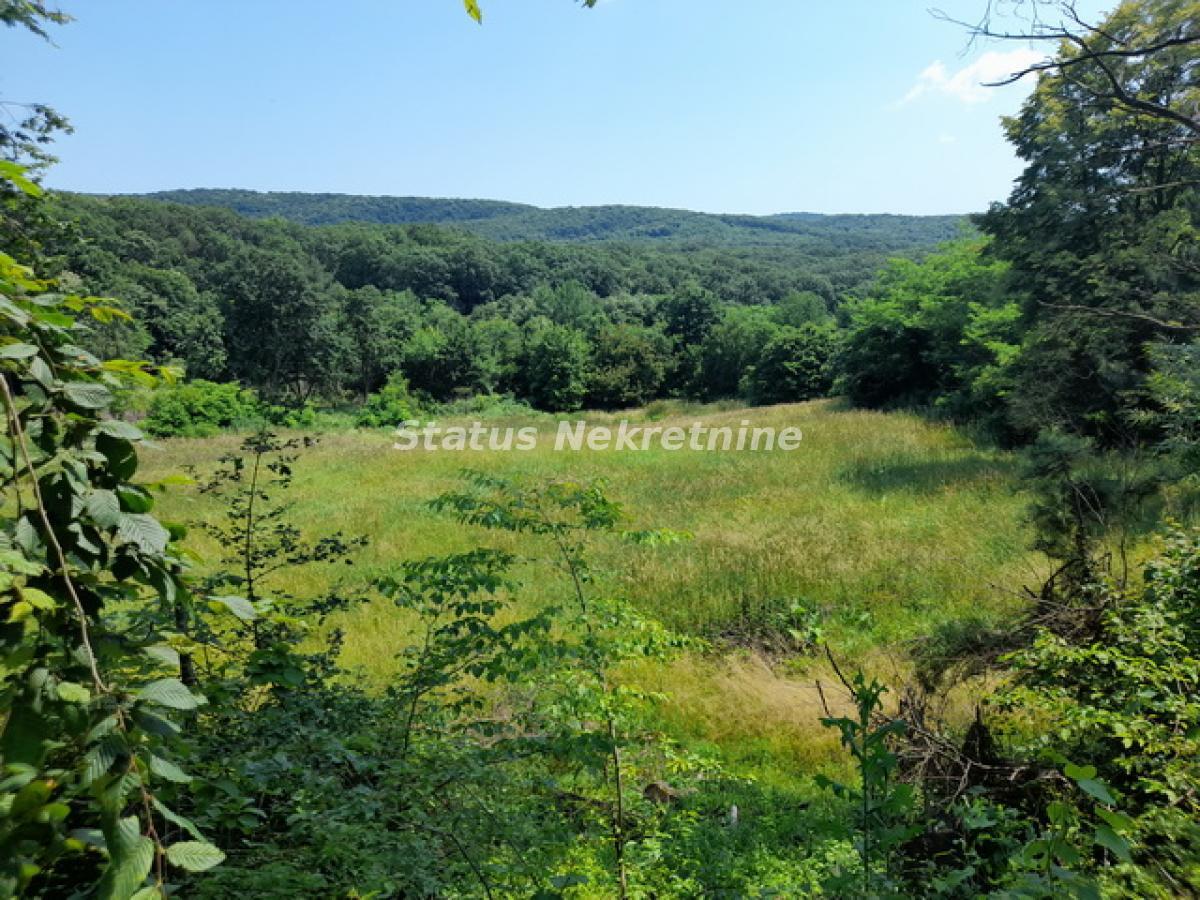 actionimagesite31agencystatusimg26qkwyr8sj-20230619-110903-resize Plac na prodaju, Vrdnik, Irig, 135,68 ari, 890.000 €