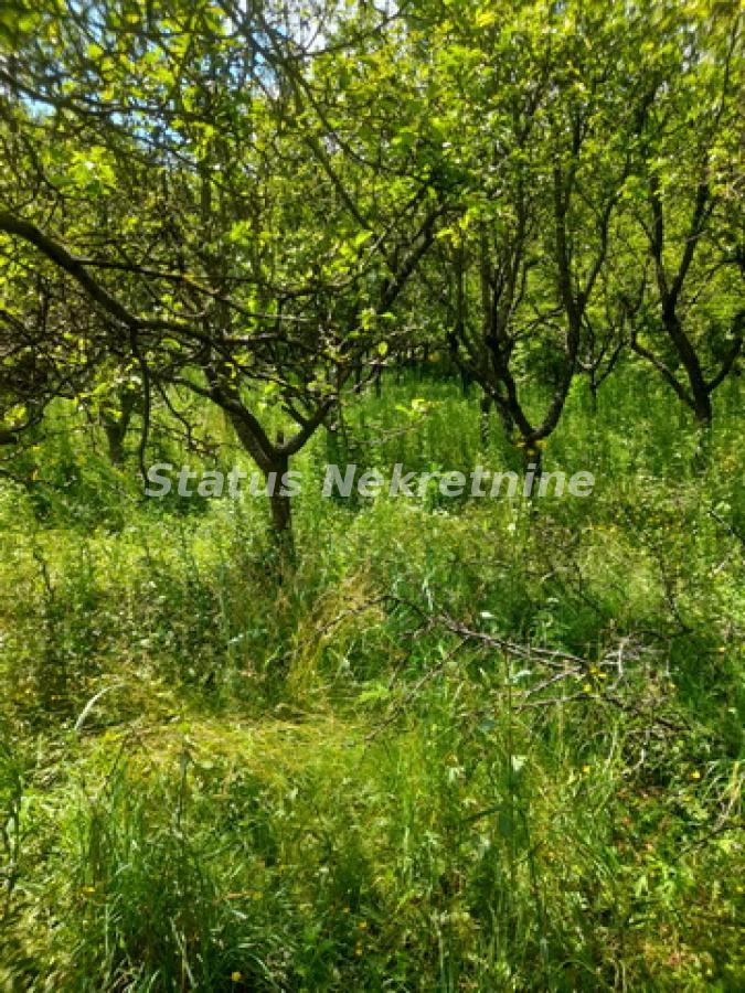 Plac na prodaju, Inđija, 21,65 ari, 35.000 €