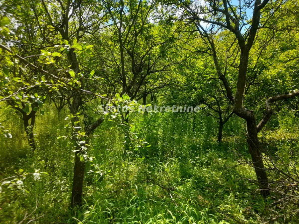 Plac na prodaju, Inđija, 21,65 ari, 35.000 €