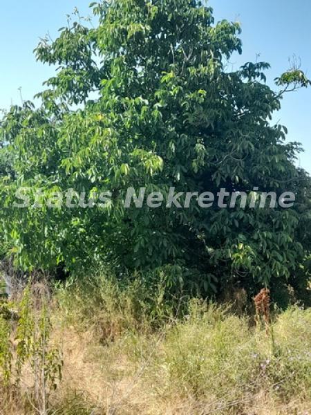 actionimagesite31agencystatusimg5qfo468r0z-20220629-160036-resize Kuća na prodaju, Inđija, 155m², 56.650 €