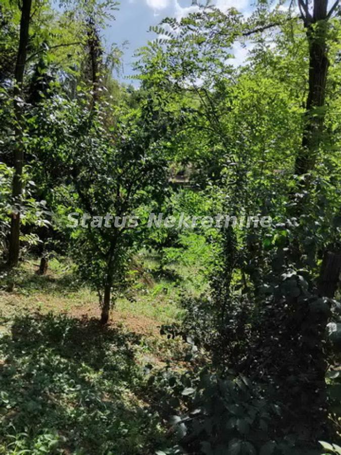actionimagesite31agencystatusimg6ubah4dqgm-viber-image-2025-10-01-16-29-07-038-resize Plac na prodaju, Beočin, 7,85 ari, 30.000 €