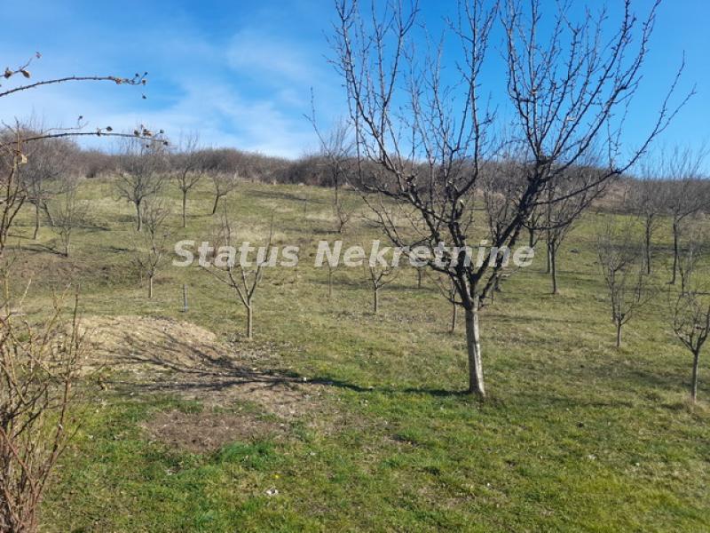 Kuća na prodaju, Vrdnik, Irig, 120m², 529.000 €