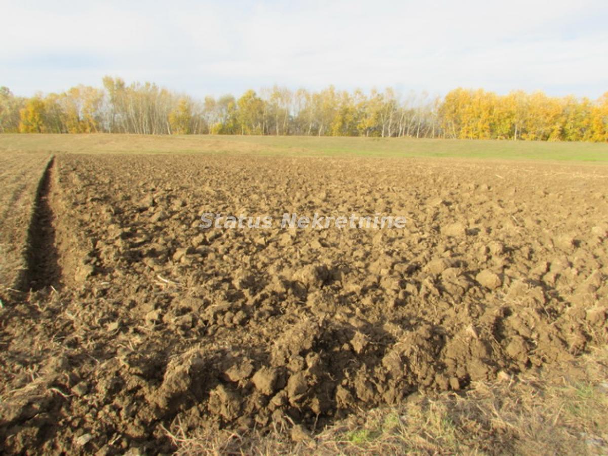 actionimagesite31agencystatusimg72c7ex4c5u-img-3077-4-resize Plac na prodaju, Sremska Mitrovica, 604,5 ari, 226.600 €