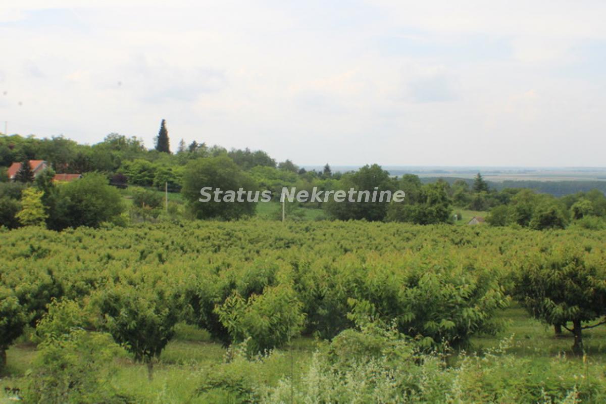 actionimagesite31agencystatusimg7x57nmi0nm-img-7637-resize Plac na prodaju, Krčedin, Inđija, 114,81 ari, 105.000 €