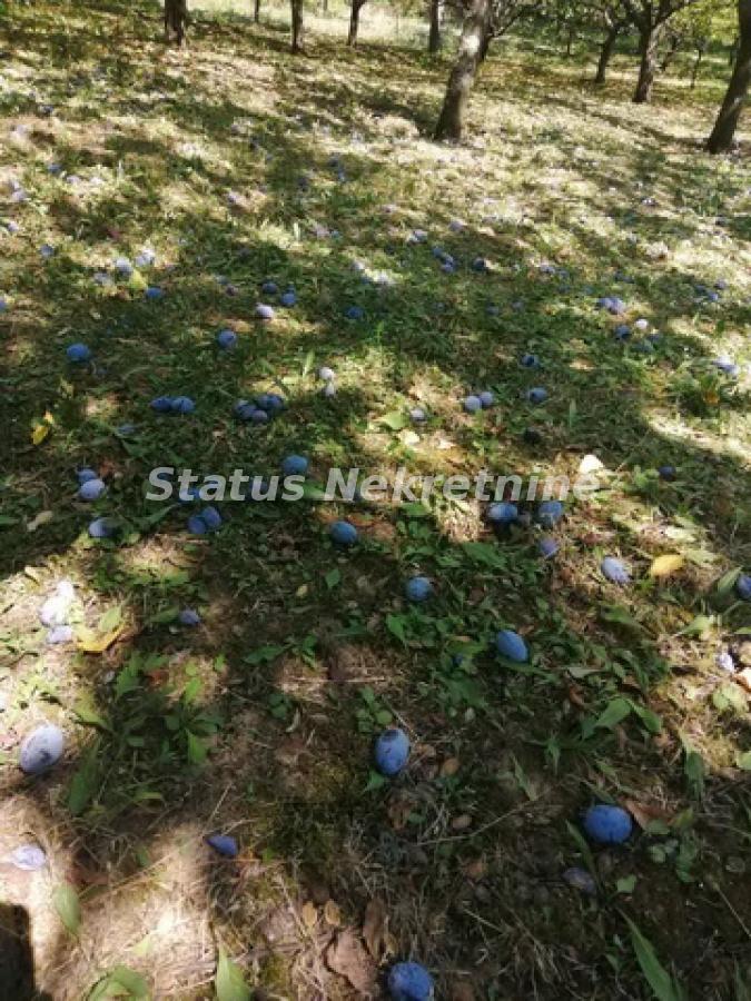 Plac na prodaju, Inđija, 21,65 ari, 35.000 €