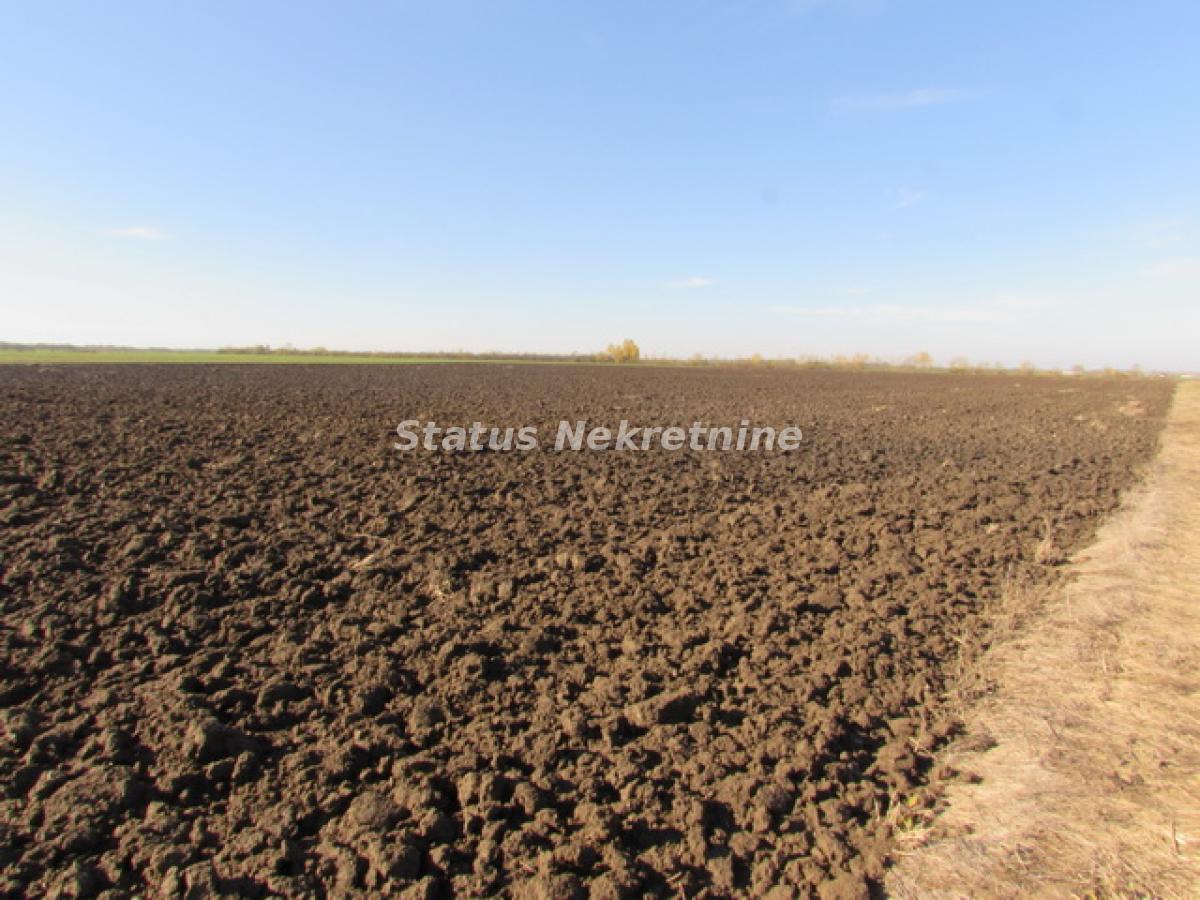 actionimagesite31agencystatusimgc3ossvtizs-img-4196-2-resize Plac na prodaju, Sremska Mitrovica, 604,5 ari, 226.600 €