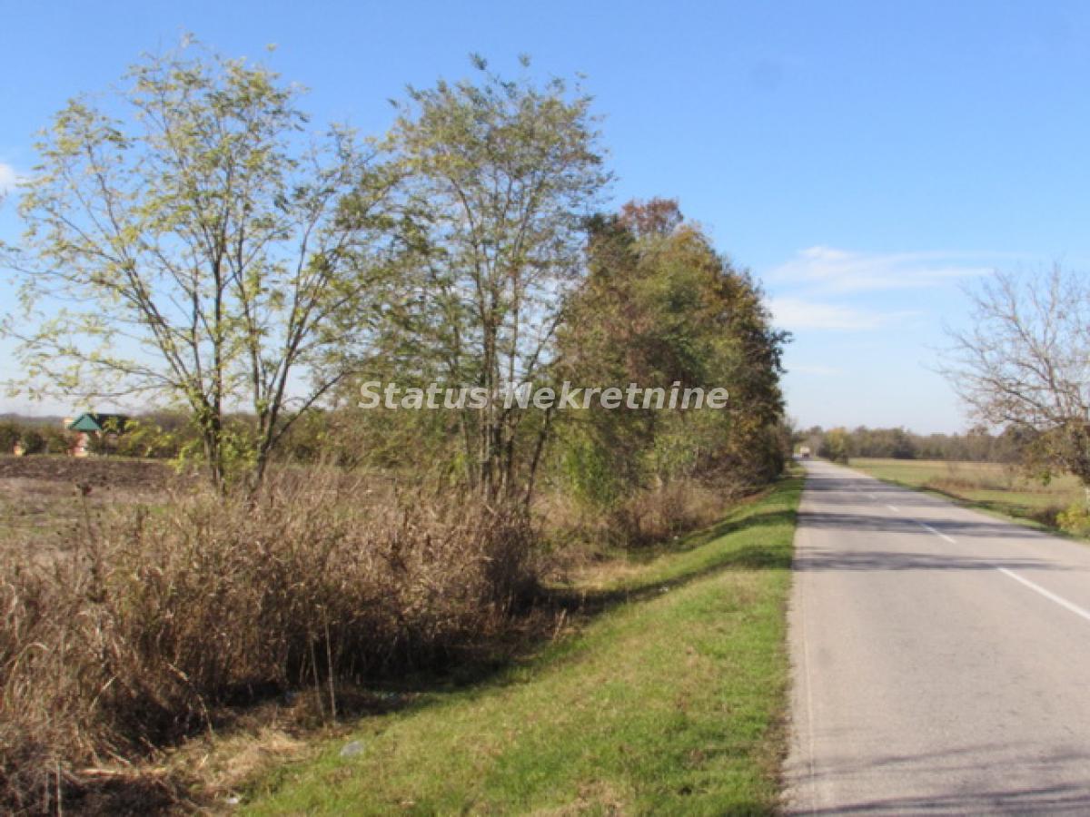 actionimagesite31agencystatusimgc5ni8ij7jg-img-4196-6-resize Plac na prodaju, Sremska Mitrovica, 604,5 ari, 226.600 €