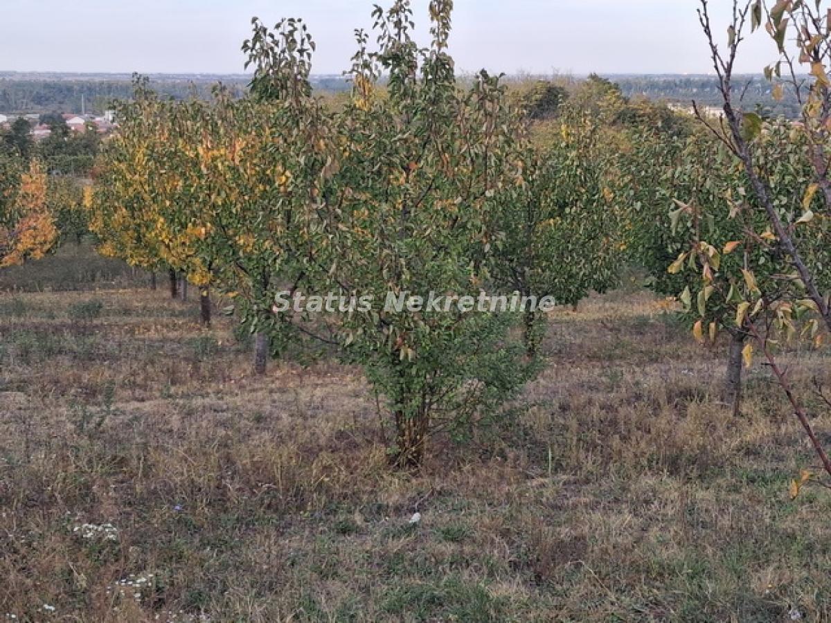 actionimagesite31agencystatusimgdd7g85rdcz-20251020-160934-resize Plac na prodaju, Centar, Beočin, 75 ari, 113.300 €