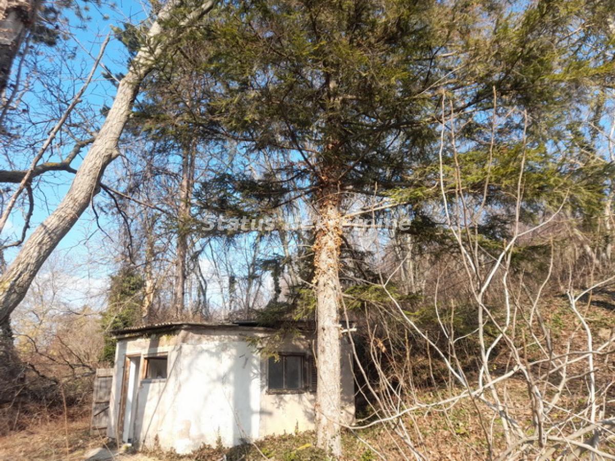 actionimagesite31agencystatusimgdnjpb3kaki-20250205-125757-resize Plac na prodaju, Sremska Kamenica, Novi Sad, 10,88 ari, 42.000 €