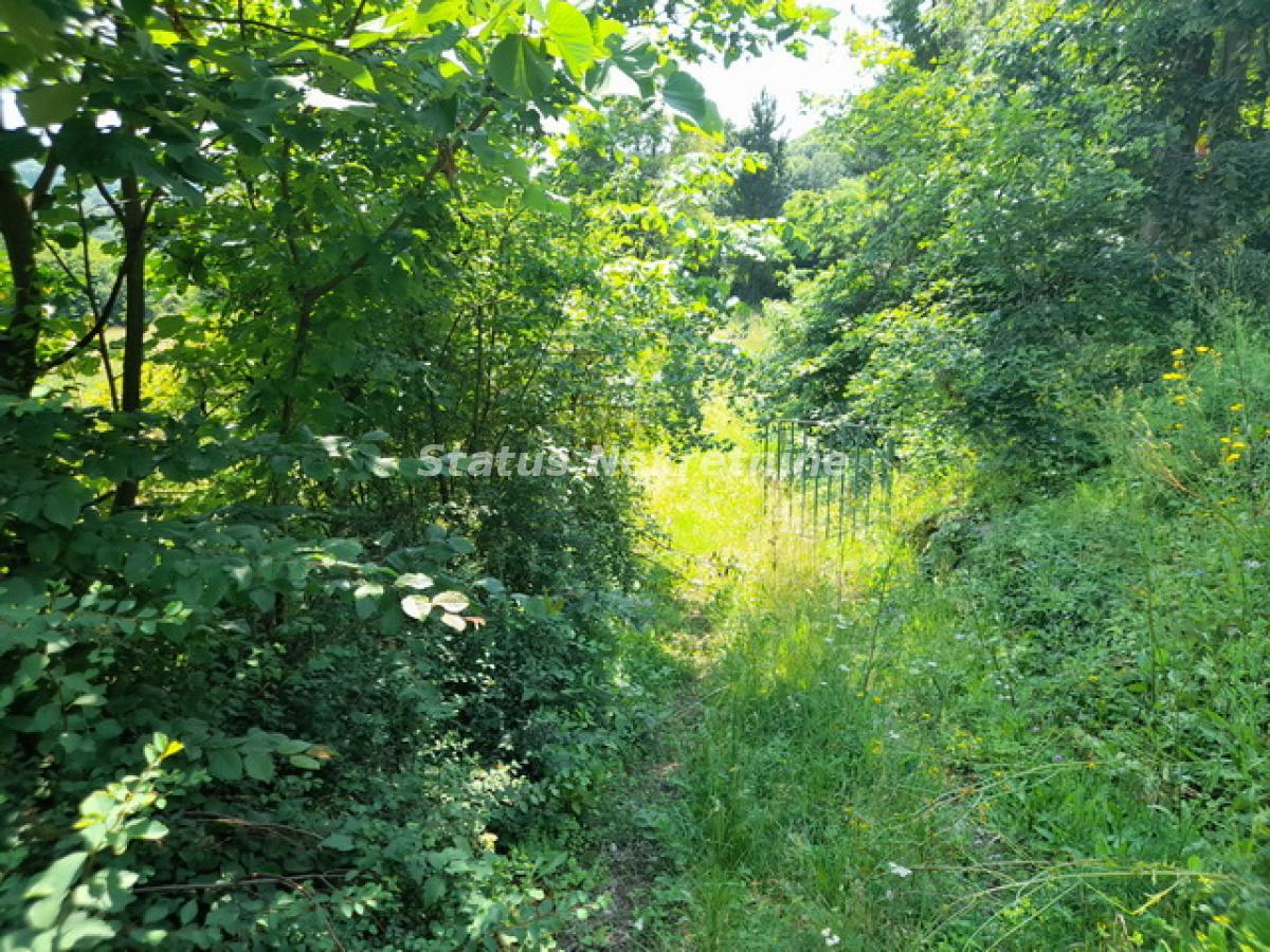 actionimagesite31agencystatusimgdseaatjmgc-20230619-110826-resize Plac na prodaju, Vrdnik, Irig, 135,68 ari, 890.000 €