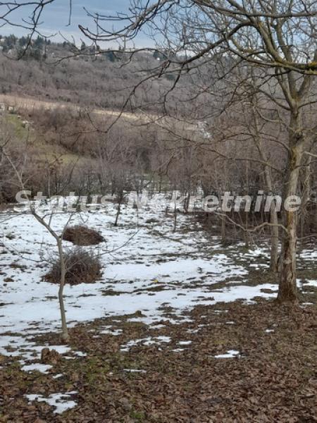 Plac na prodaju, Inđija, 122,4 ari, 130.000 €