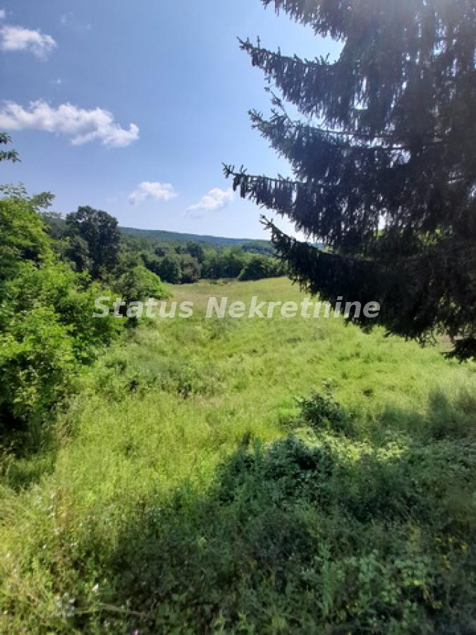 actionimagesite31agencystatusimgf7ctmn584o-20230619-111331-resize Plac na prodaju, Vrdnik, Irig, 135,68 ari, 890.000 €