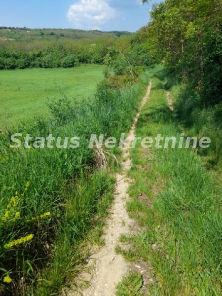 actionimagesite31agencystatusimgfd3ktgwf6e-20220505-111547-resize Plac na prodaju, Irig, 75,7 ari, 116.960 €