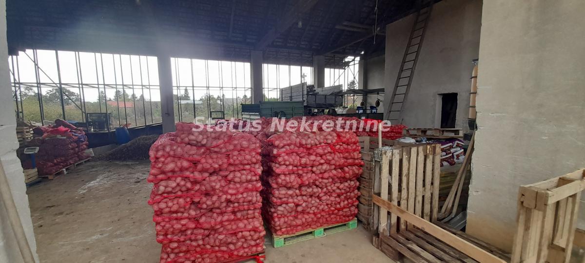 actionimagesite31agencystatusimggyfcr8tx8d-20241004-160957 Kuća na prodaju, Gložan, Bački Petrovac, 155m², 65.000 €