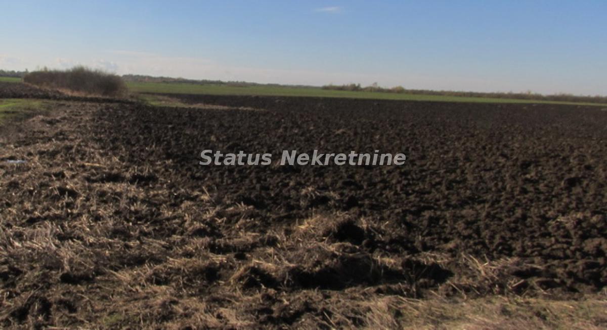 actionimagesite31agencystatusimghgvayu3sj4-img-4196-3-resize Plac na prodaju, Sremska Mitrovica, 604,5 ari, 226.600 €