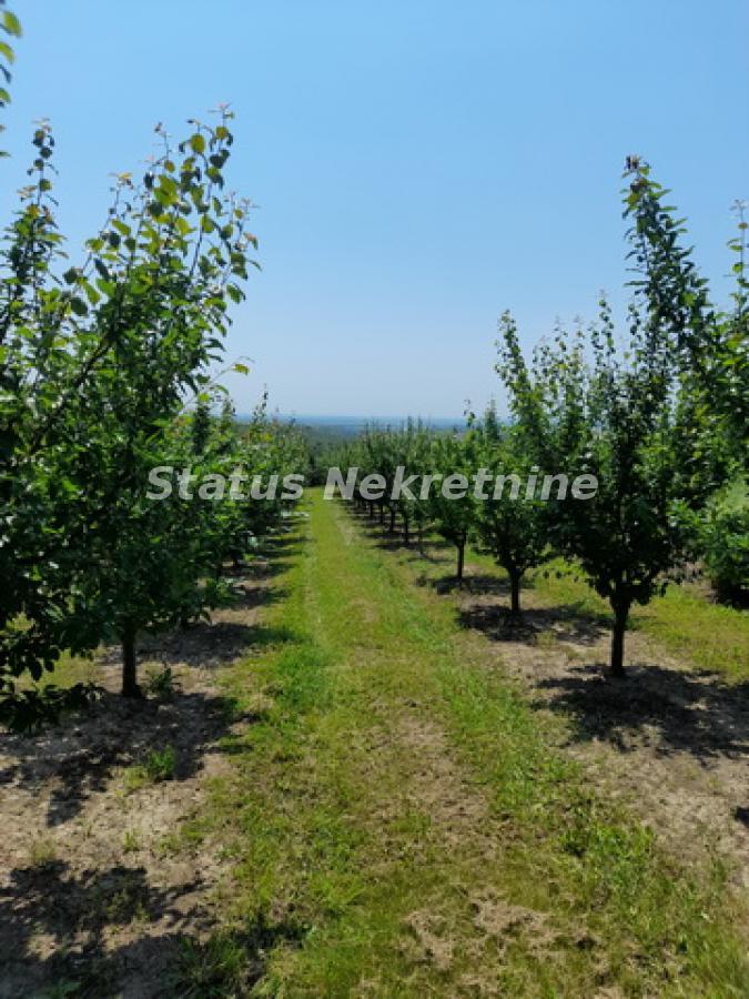 Plac na prodaju, Vrdnik, Irig, 30 ari, 154.500 €