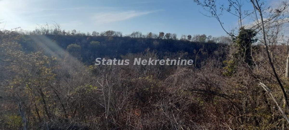 Plac na prodaju, Beočin, 130,11 ari, 17.000 €