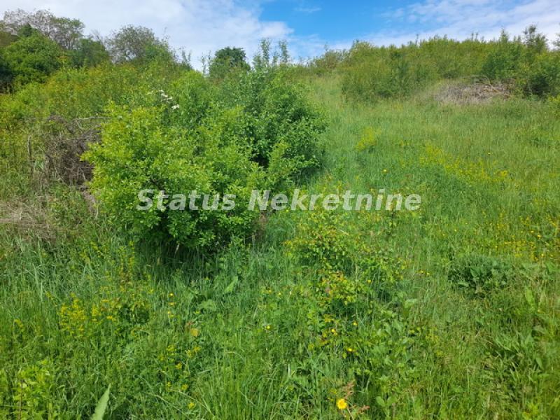 Plac na prodaju, Vrdnik, Irig, 75 ari, 772.500 €