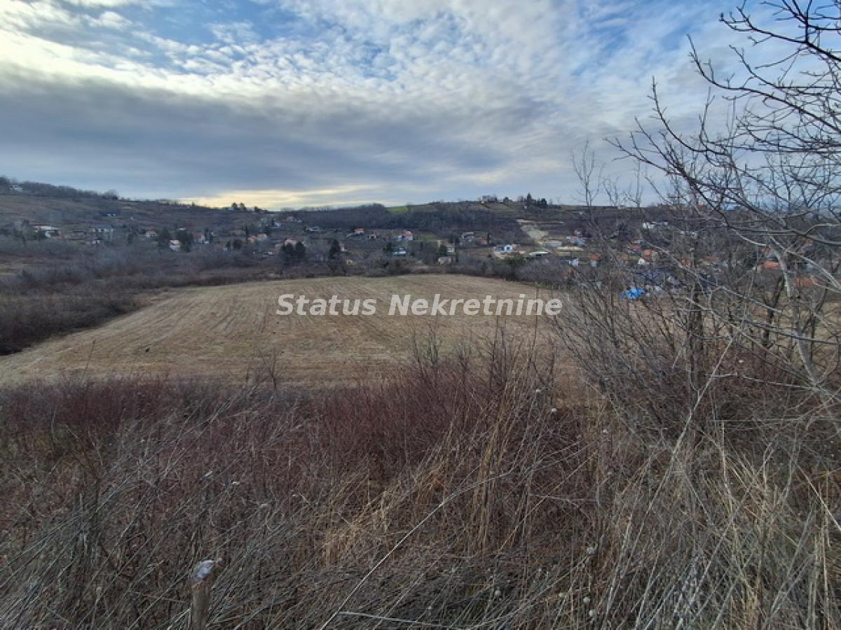 Plac na prodaju, Ledinci, Novi Sad, 149,95 ari, 772.240 €