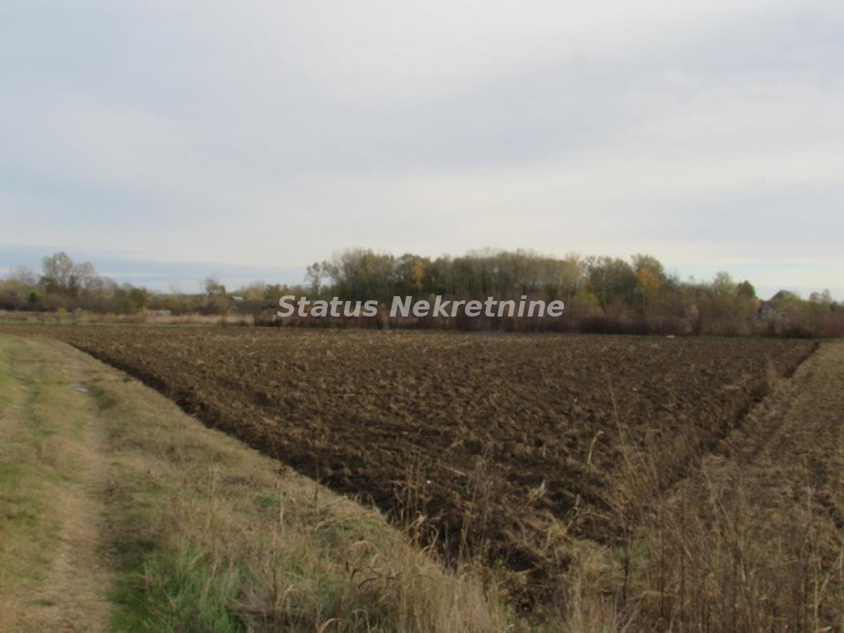 actionimagesite31agencystatusimgpfw2v08mi6-img-3077-3-resize Plac na prodaju, Sremska Mitrovica, 604,5 ari, 226.600 €