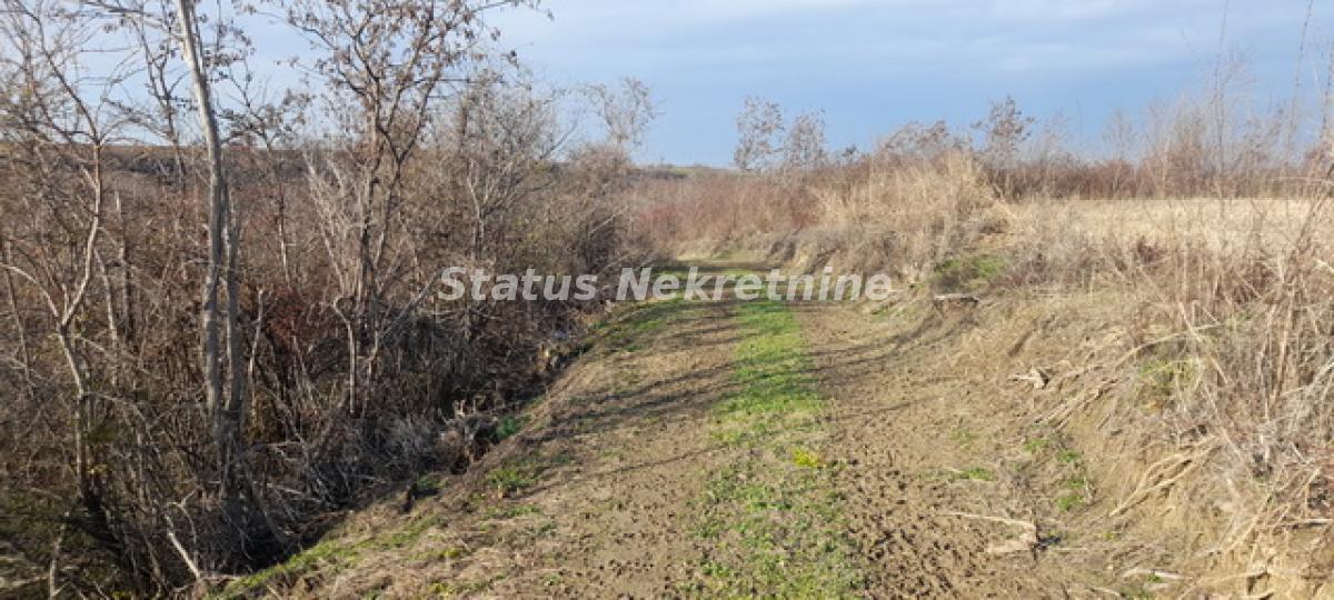 Plac na prodaju, Beočin, 130,11 ari, 17.000 €