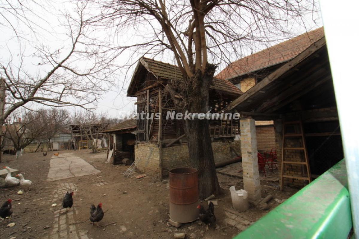 actionimagesite31agencystatusimgua5j6vkopz-img-7769-resize Kuća na prodaju, Temerin – Centar, Temerin, 181m², 226.600 €