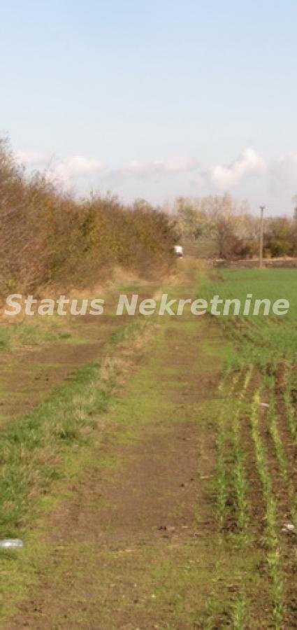 actionimagesite31agencystatusimguepkoae88t-img-4196-5-resize Plac na prodaju, Sremska Mitrovica, 604,5 ari, 226.600 €