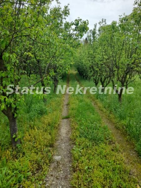 actionimagesite31agencystatusimguwrx6xuy4r-20210514-110323-resize Kuća na prodaju, Vrdnik, Irig, 160m², 288.400 €