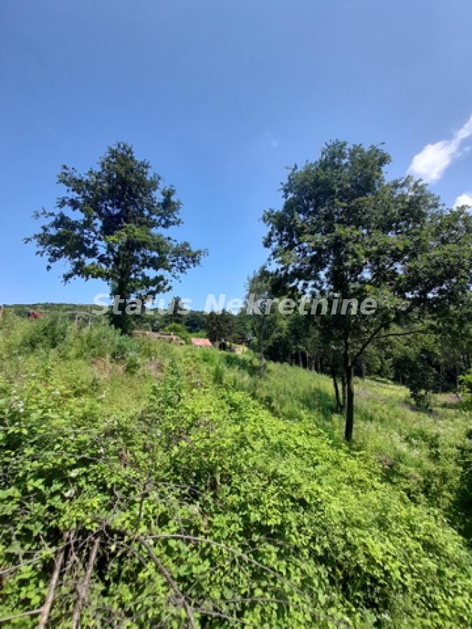 actionimagesite31agencystatusimgvbwrbruto5-20230619-111548-resize Plac na prodaju, Vrdnik, Irig, 135,68 ari, 890.000 €