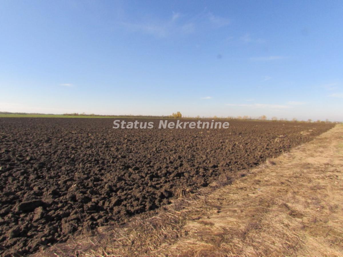 actionimagesite31agencystatusimgvoby8470uc-img-4196-1-resize Plac na prodaju, Sremska Mitrovica, 604,5 ari, 226.600 €