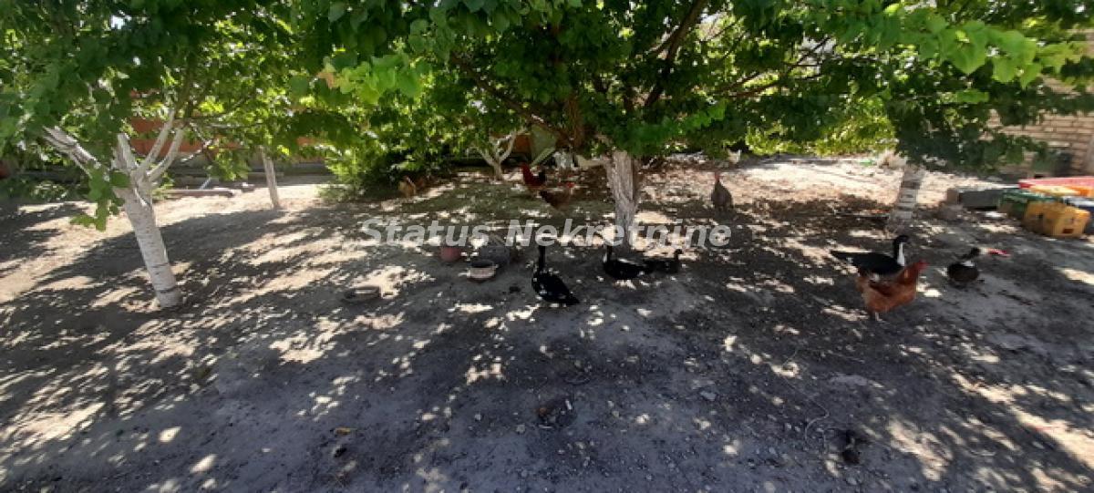 actionimagesite31agencystatusimgw37ezw7jx5-20240731-110634-resize Kuća na prodaju, Titel, 137m², 66.950 €