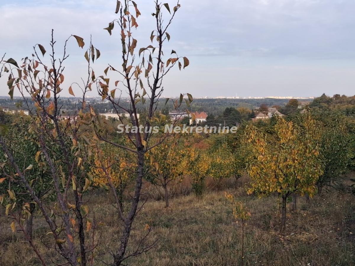 actionimagesite31agencystatusimgwgvhacgwea-20251020-160931-resize Plac na prodaju, Centar, Beočin, 75 ari, 113.300 €