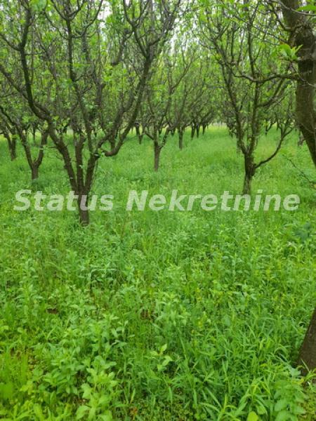 actionimagesite31agencystatusimgwws4862ga6-20210514-110231-resize Kuća na prodaju, Vrdnik, Irig, 160m², 288.400 €
