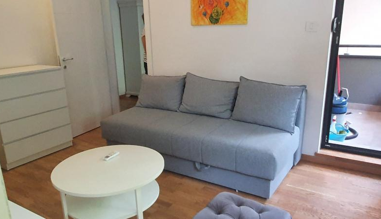 Stan Izdavanje Novi Sad  45 m2