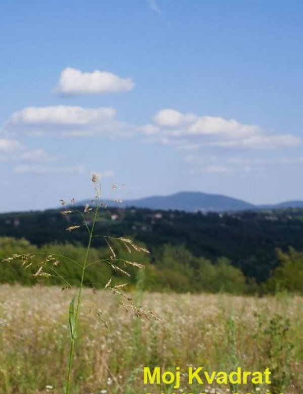 Plac Prodaja Beograd Beljina 0 m2