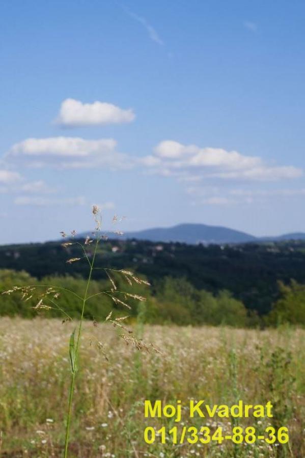 Plac Prodaja Beograd Plac Prodaja Beograd Beljina 0 m2