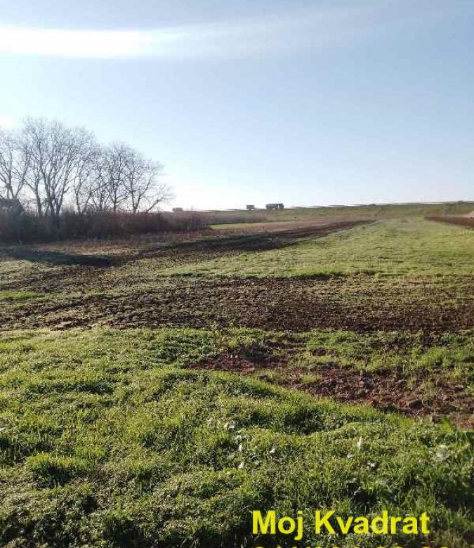 Plac Prodaja Beograd Jakovo 0 m2