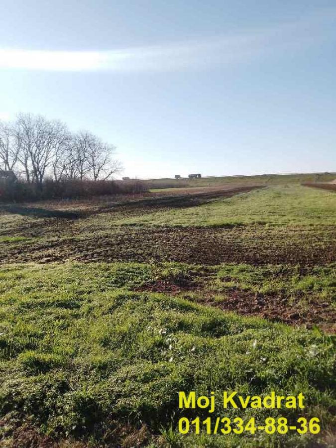 Plac Prodaja Beograd Plac Prodaja Beograd Jakovo 0 m2