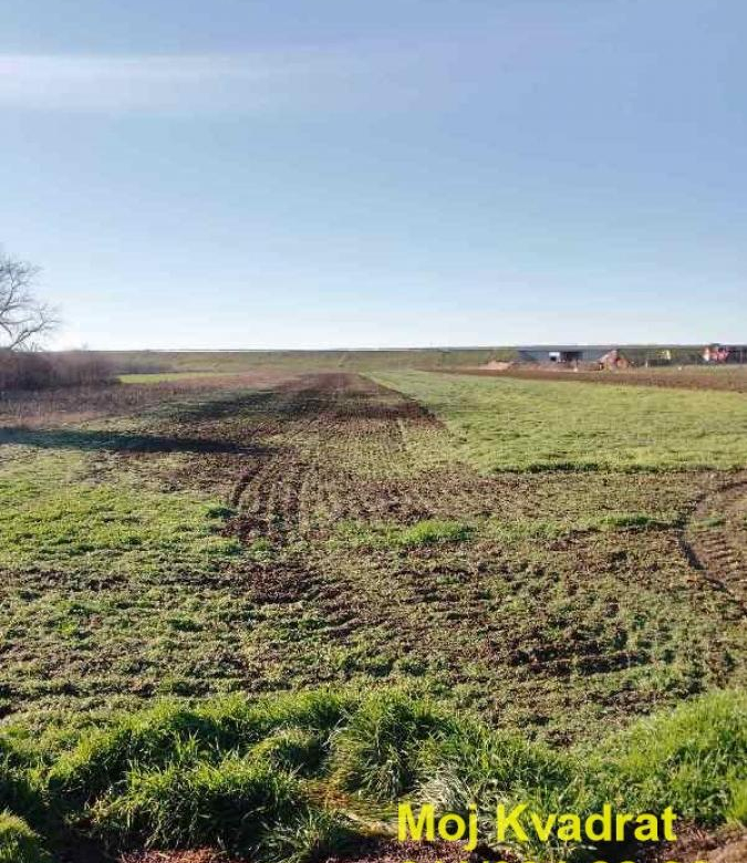 Plac Prodaja Beograd Jakovo 0 m2
