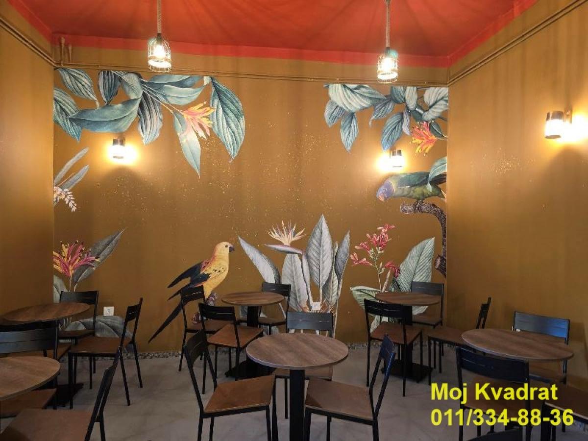 Lokal Izdavanje Beograd Lokal Izdavanje Beograd Pravni Fakultet 40 m2