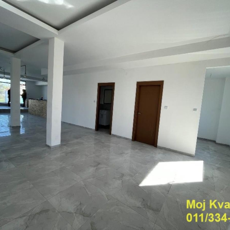 Lokal Izdavanje Beograd Labudovo Brdo 232 m2