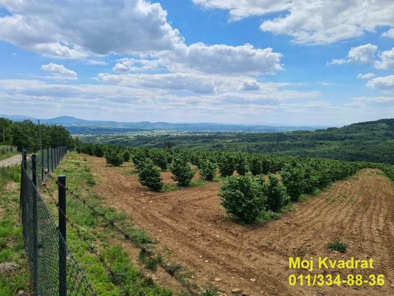 index Plac – Beograd, Mladenovac Koraćica – ID 18386