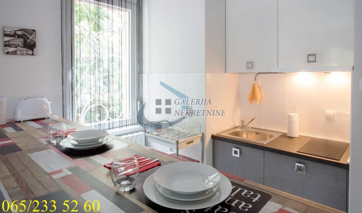 Stan Izdavanje Beograd Stan Izdavanje Beograd Botanička Bašta 35 m2