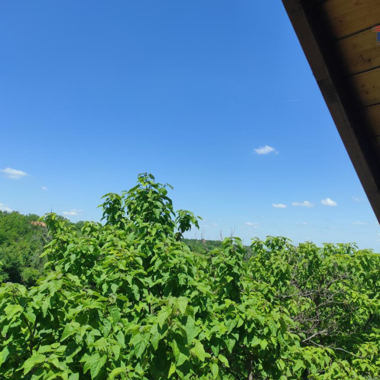 Kuća Prodaja Inđija Banstol 59 m2