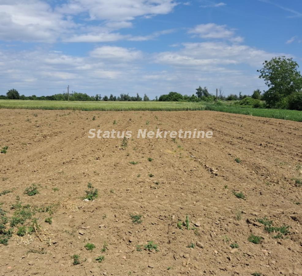 Plac Prodaja Novi Sad Plac Prodaja Novi Sad 0 m2