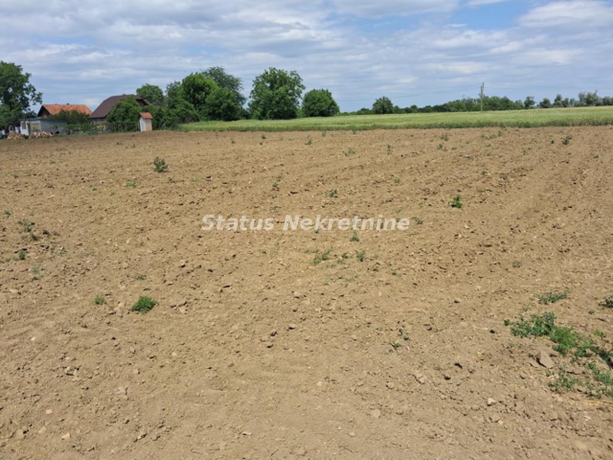Plac Prodaja Novi Sad Plac Prodaja Novi Sad 0 m2