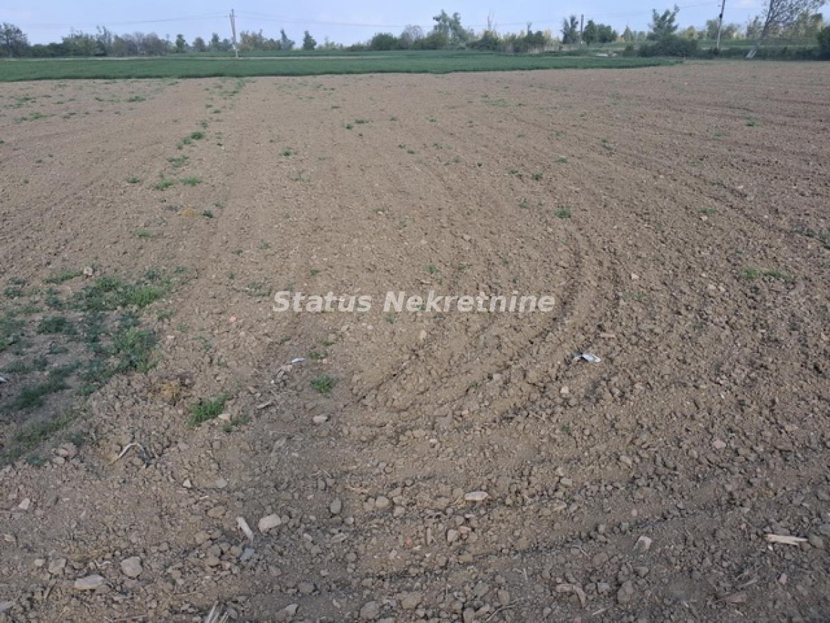 Plac Prodaja Novi Sad Plac Prodaja Novi Sad 0 m2