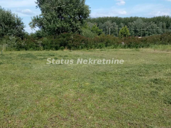 Plac Prodaja Novi Sad  0 m2