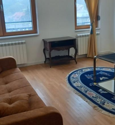 Stan Izdavanje Beograd Zelena Avenija 47 m2